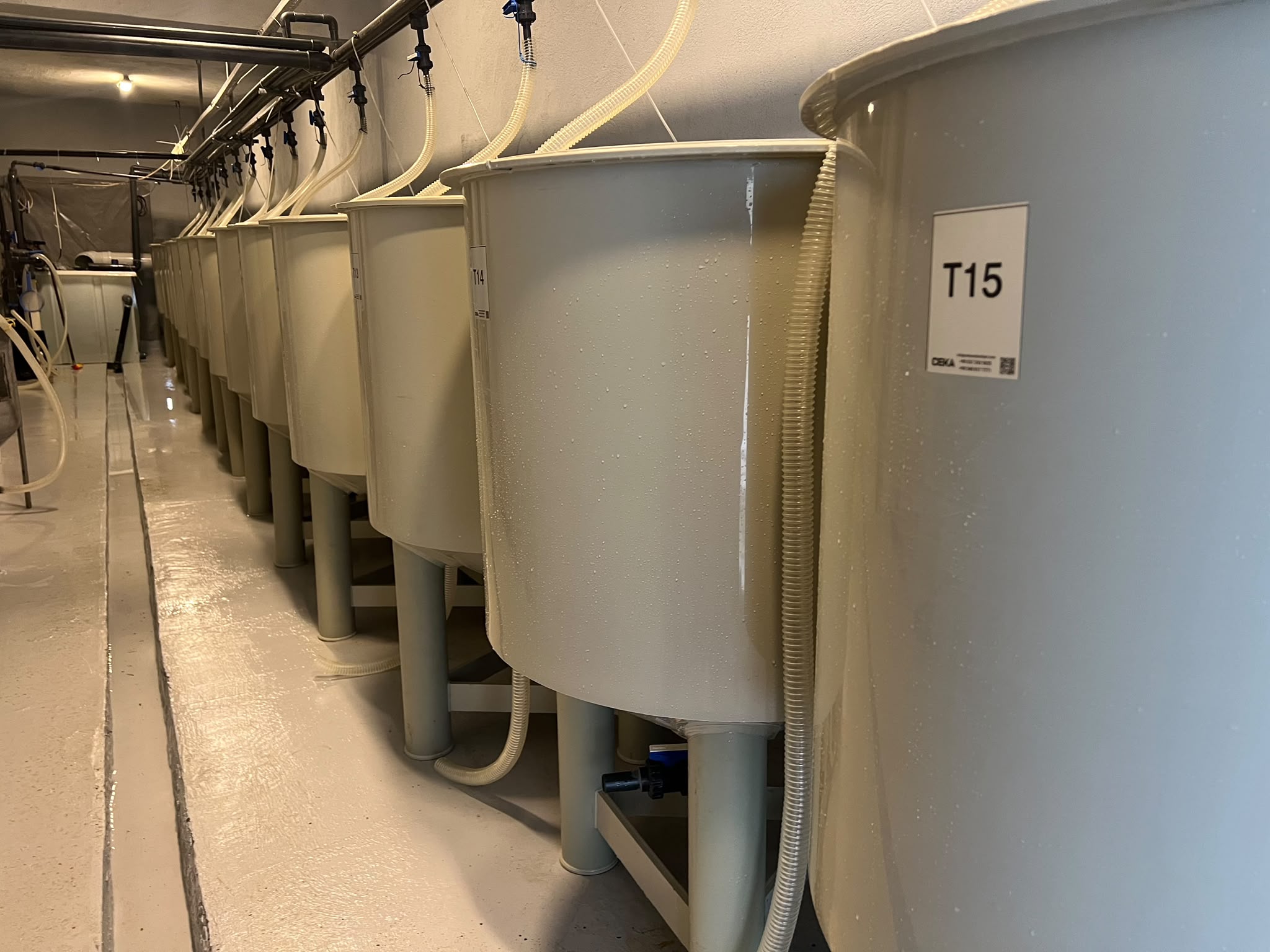 CEKA Kuluçkahane İnkübasyon Tankları